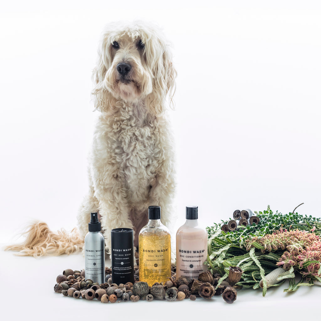 Introducing our new dog care range from Bondi Wash