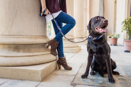 Brott Dog Design Fashion Dog Collar Quart set