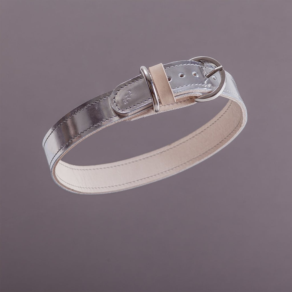 Moonshine Dog Collar - Metallic Silver - NEW PETS ON THE BLOCK.COM