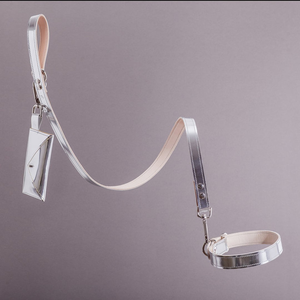 Moonshine Fixed Dog Leash - Metallic Silver - NEW PETS ON THE BLOCK.COM