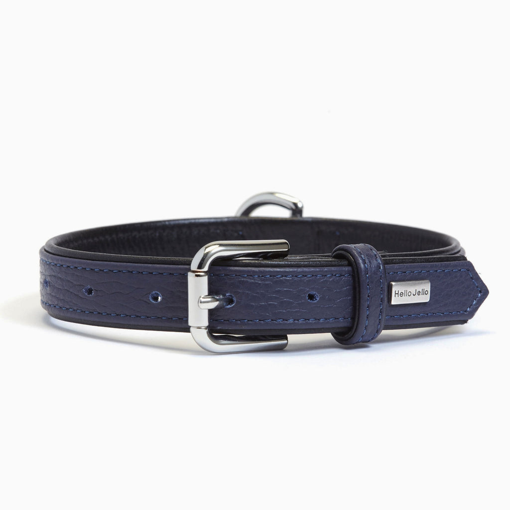 Palette Series Dog Collar - Navy & Black - NEW PETS ON THE BLOCK.COM