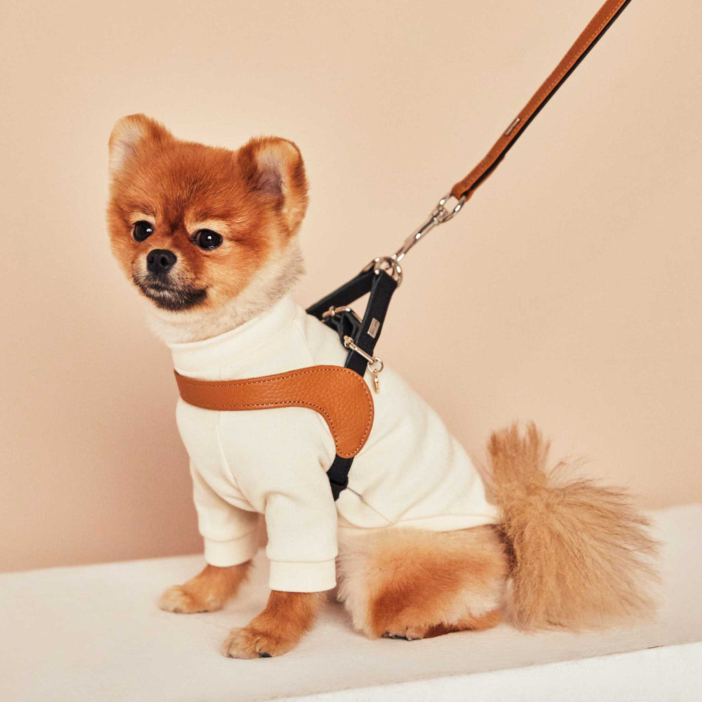 Palette Series Dog Harness - Brown & Black - NEW PETS ON THE BLOCK.COM