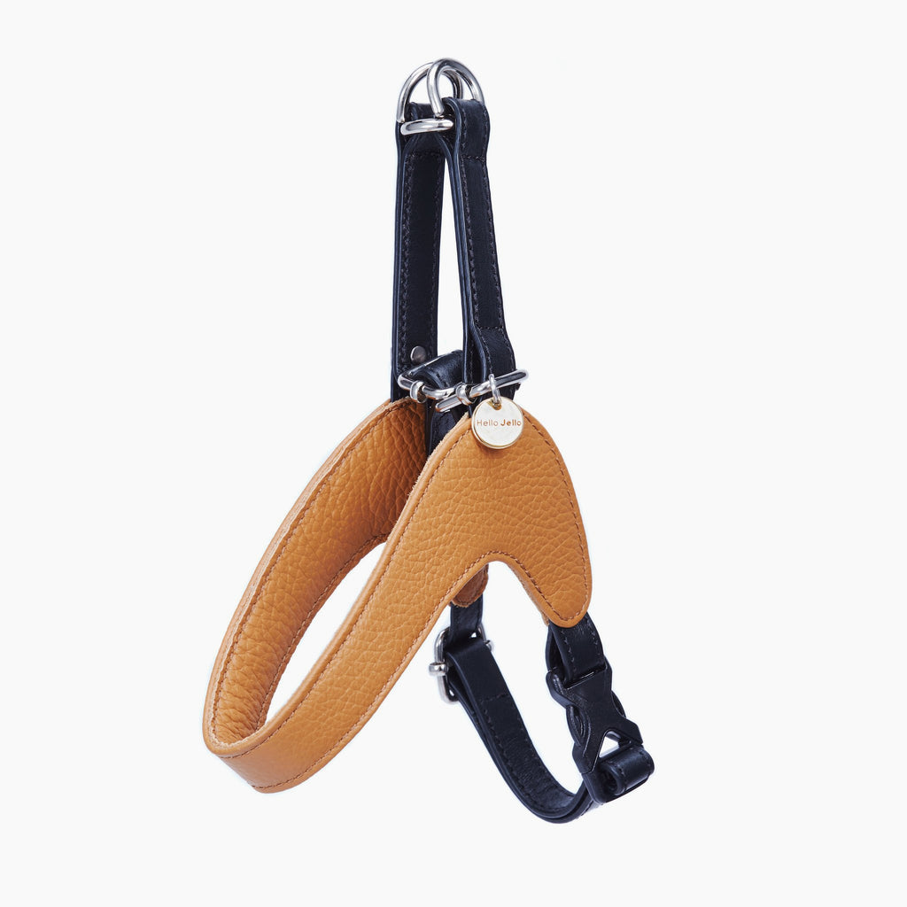 Palette Series Dog Harness - Brown & Black - NEW PETS ON THE BLOCK.COM