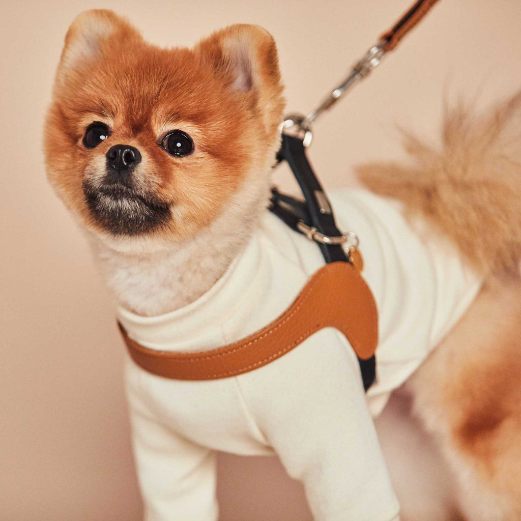 Palette Series Dog Harness - Brown & Black - NEW PETS ON THE BLOCK.COM