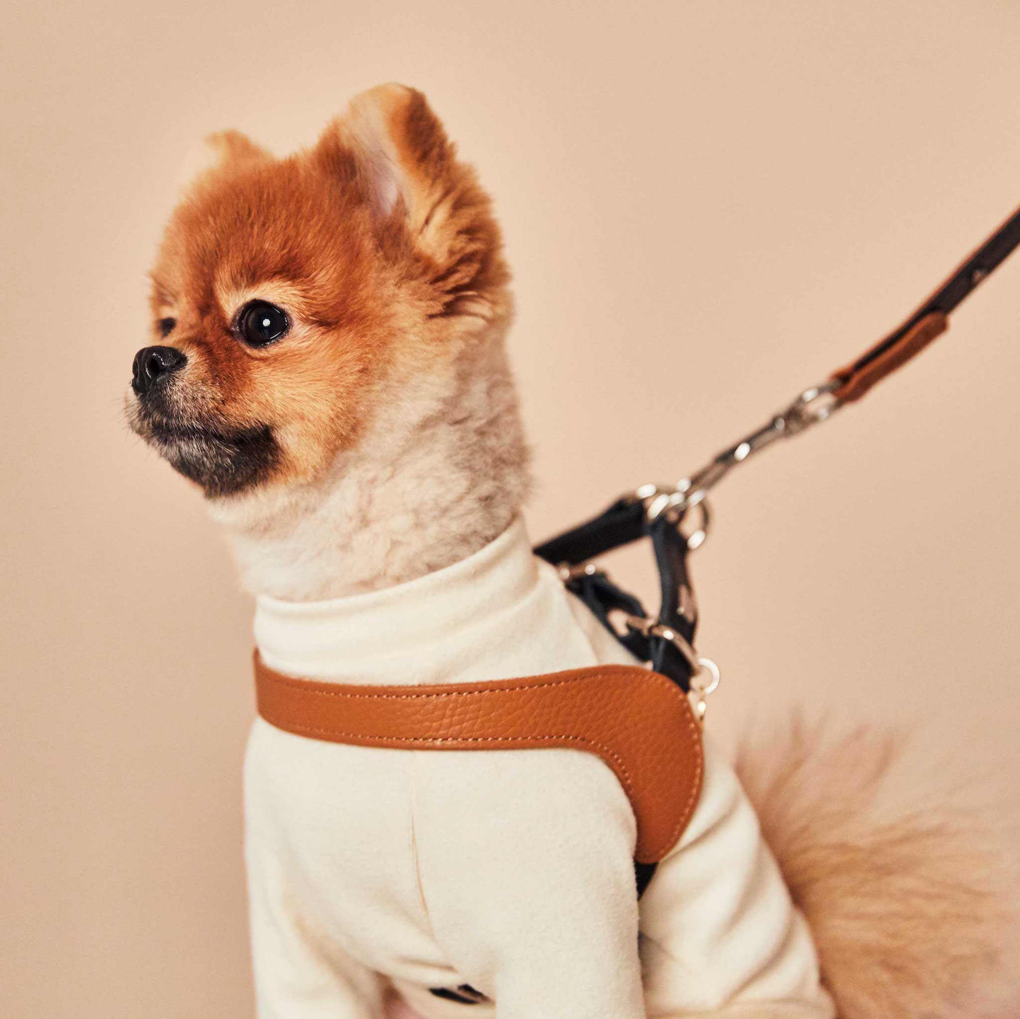Palette Series Dog Harness - Brown & Black - NEW PETS ON THE BLOCK.COM
