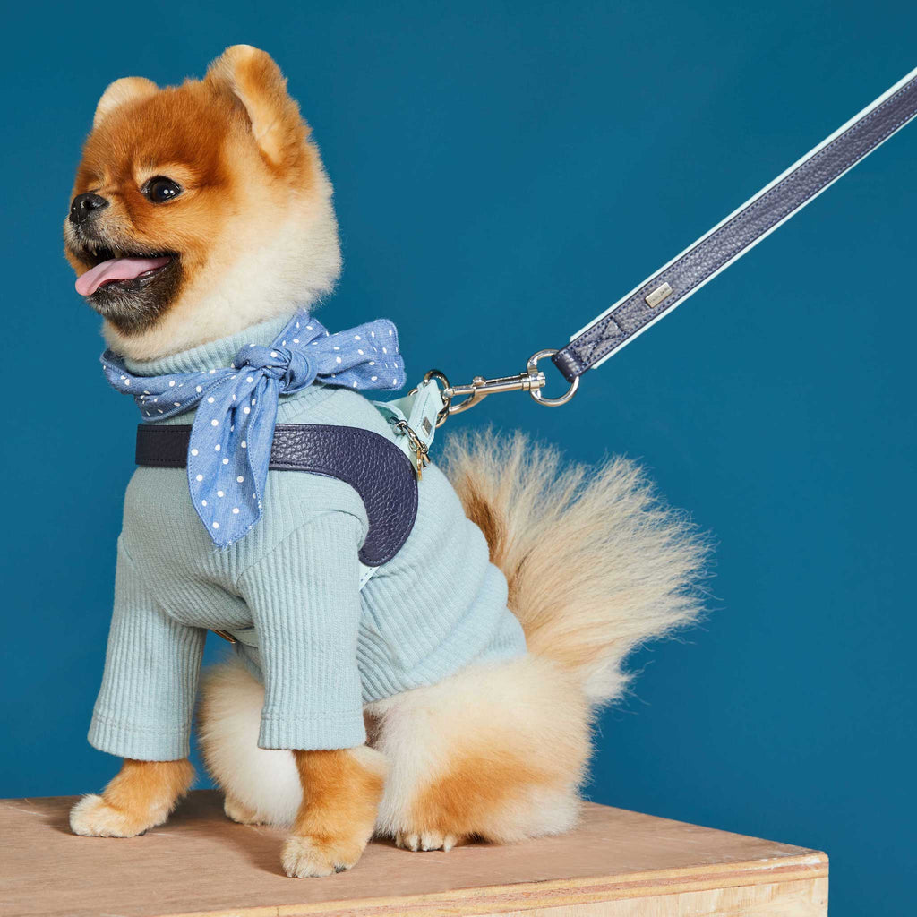 Palette Series Dog Harness - Navy & Mint - NEW PETS ON THE BLOCK.COM