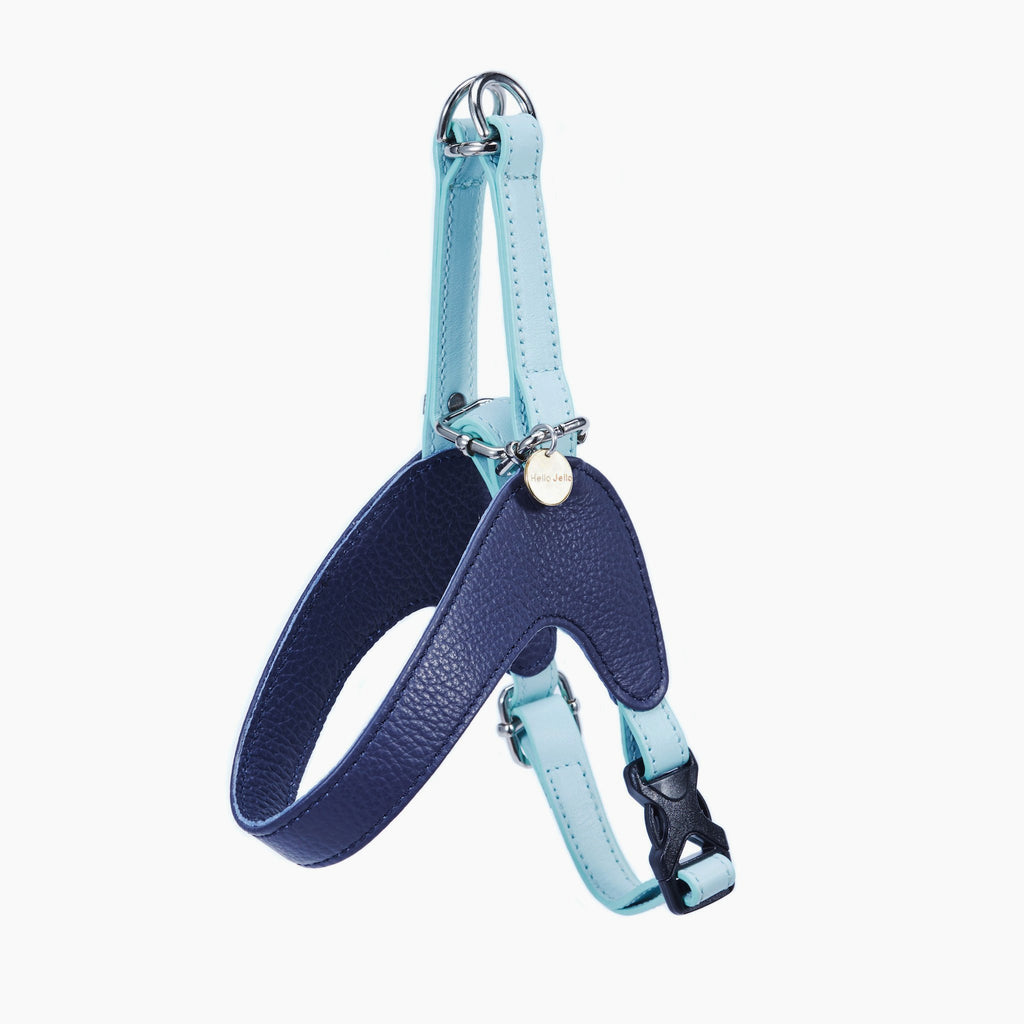 Palette Series Dog Harness - Navy & Mint - NEW PETS ON THE BLOCK.COM