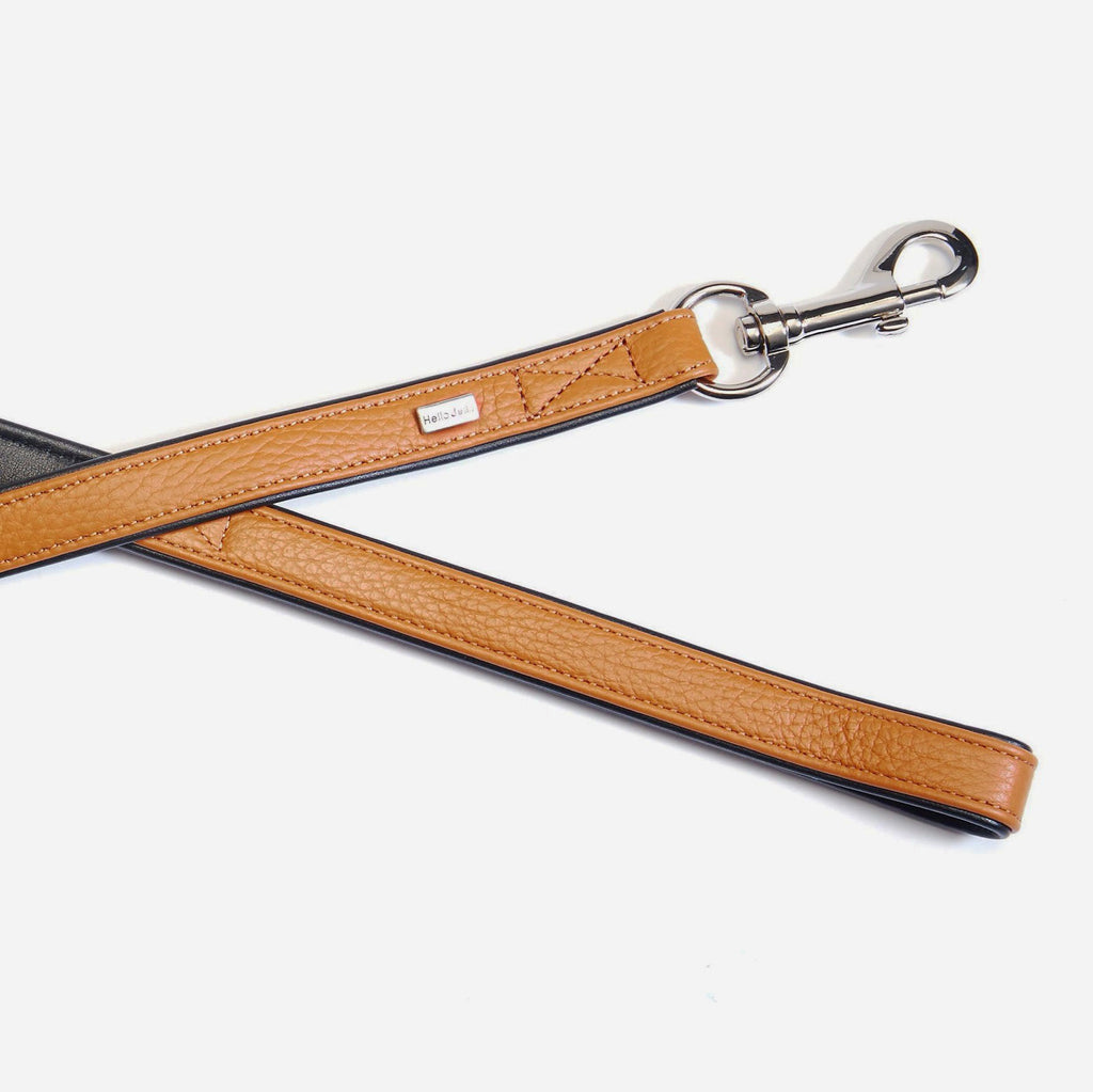 Palette Series Dog Leash - Brown & Black - NEW PETS ON THE BLOCK.COM