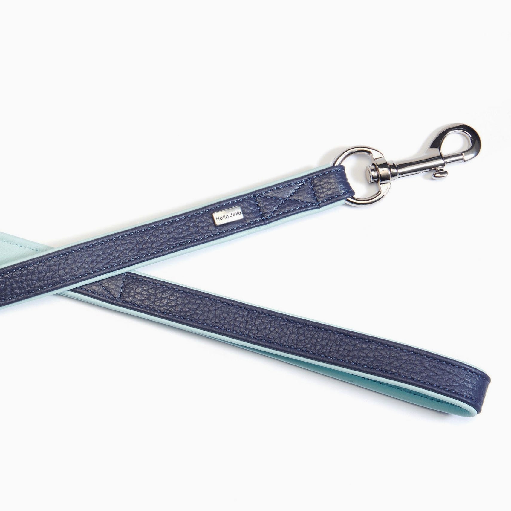 Palette Series Dog Leash - Navy & Mint - NEW PETS ON THE BLOCK.COM