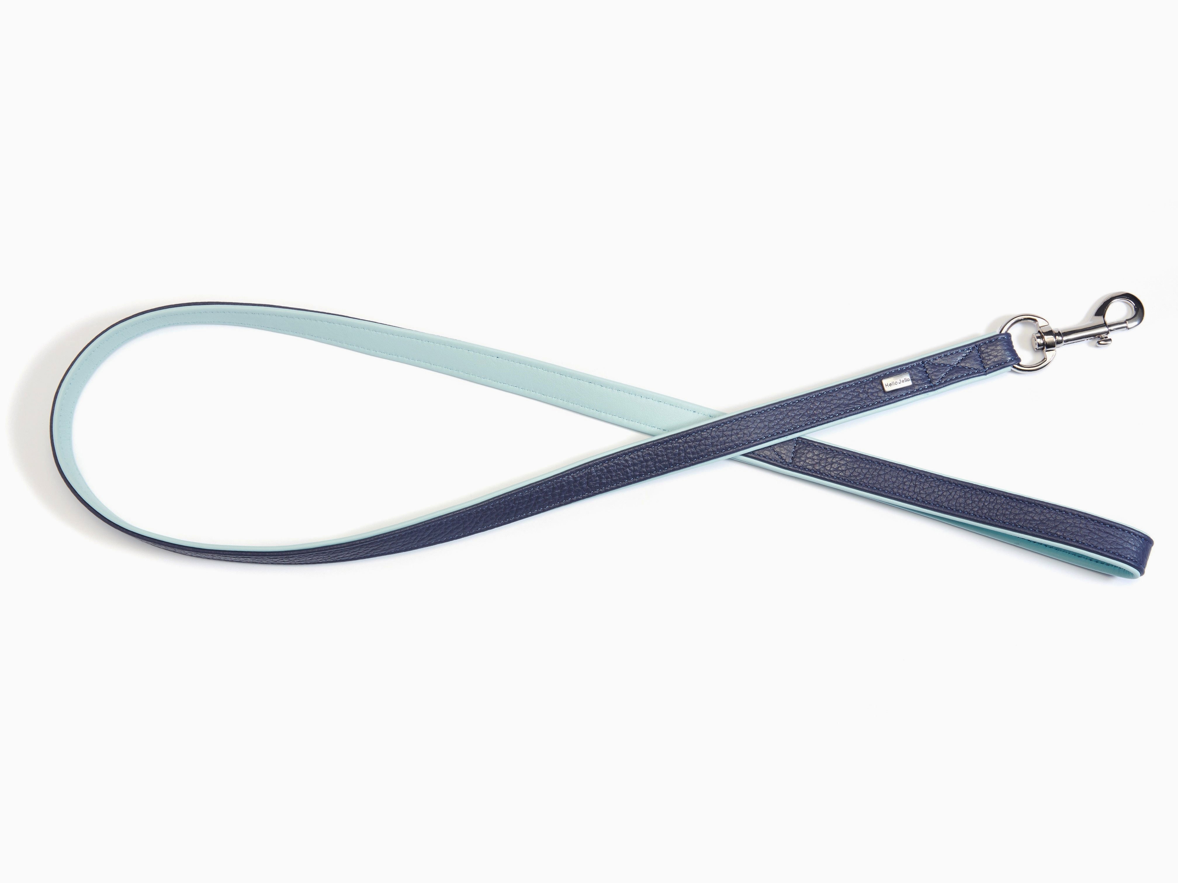 Palette Series Dog Leash - Navy & Mint - NEW PETS ON THE BLOCK.COM