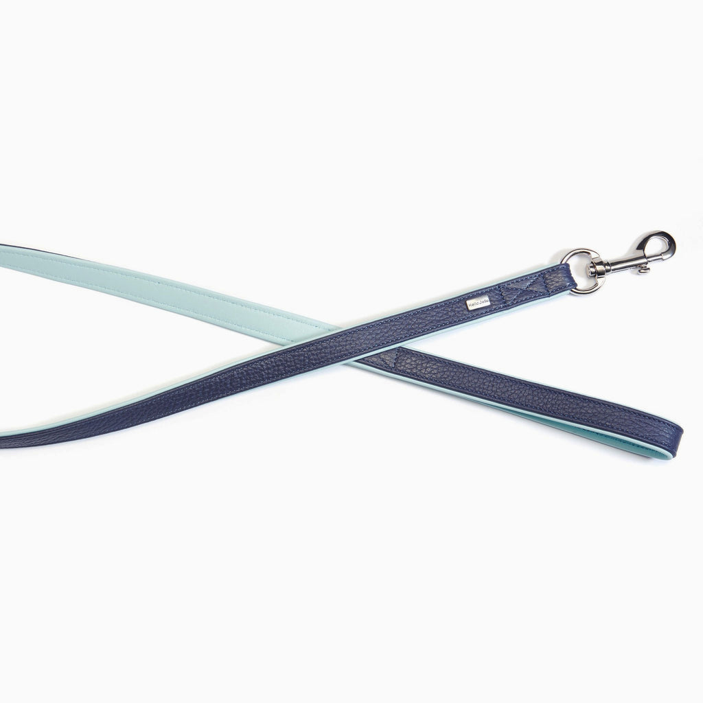 Palette Series Dog Leash - Navy & Mint - NEW PETS ON THE BLOCK.COM