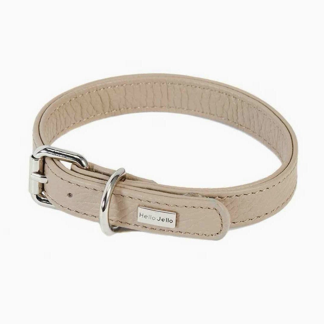Pop Series Dog Collar - Gray - NEW PETS ON THE BLOCK.COM