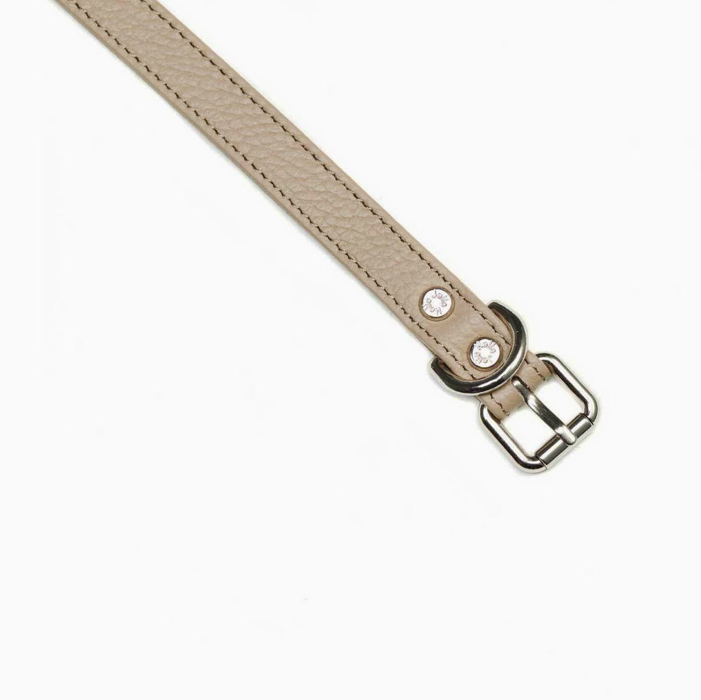 Pop Series Dog Collar - Gray - NEW PETS ON THE BLOCK.COM