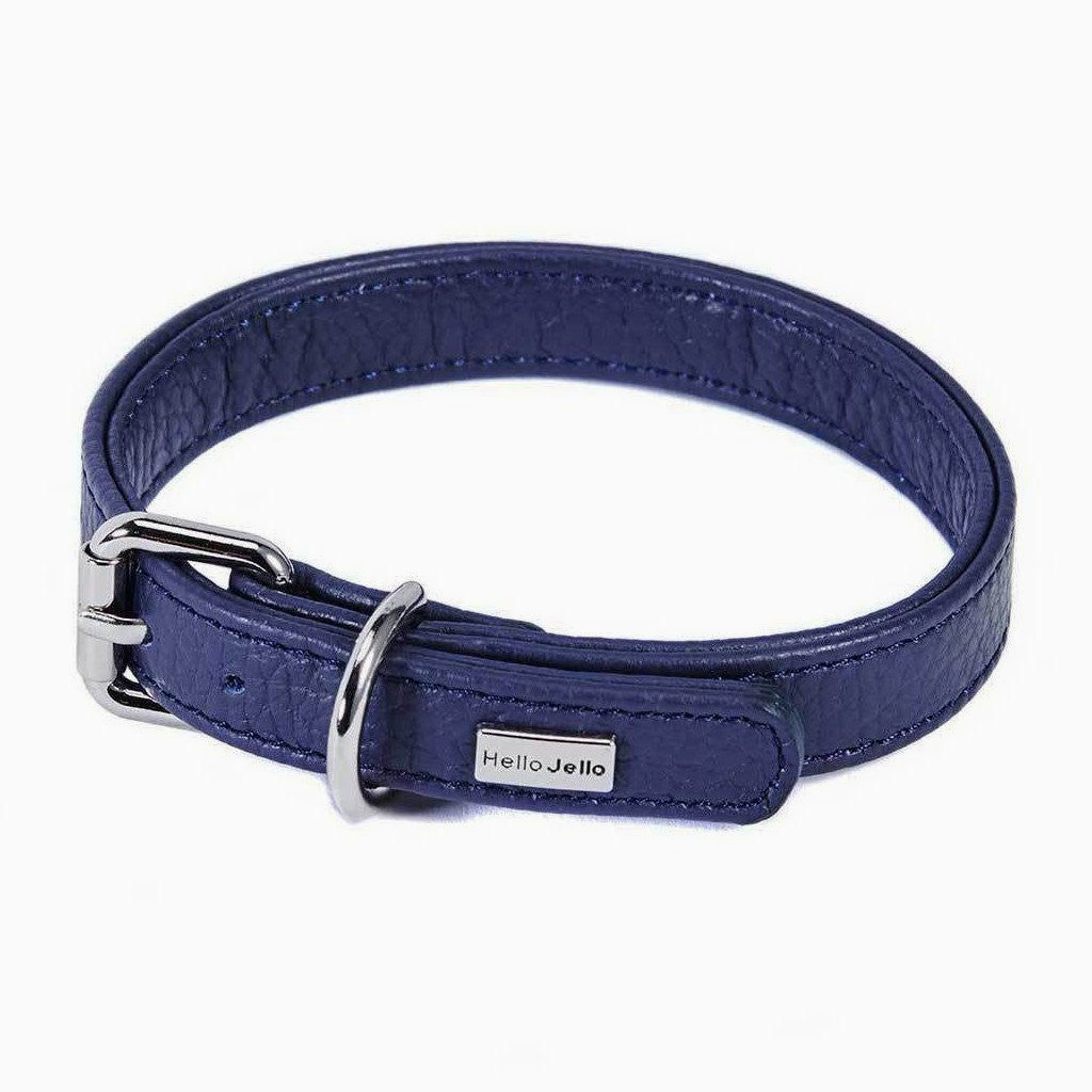 Pop Series Dog Collar - Navy - NEW PETS ON THE BLOCK.COM
