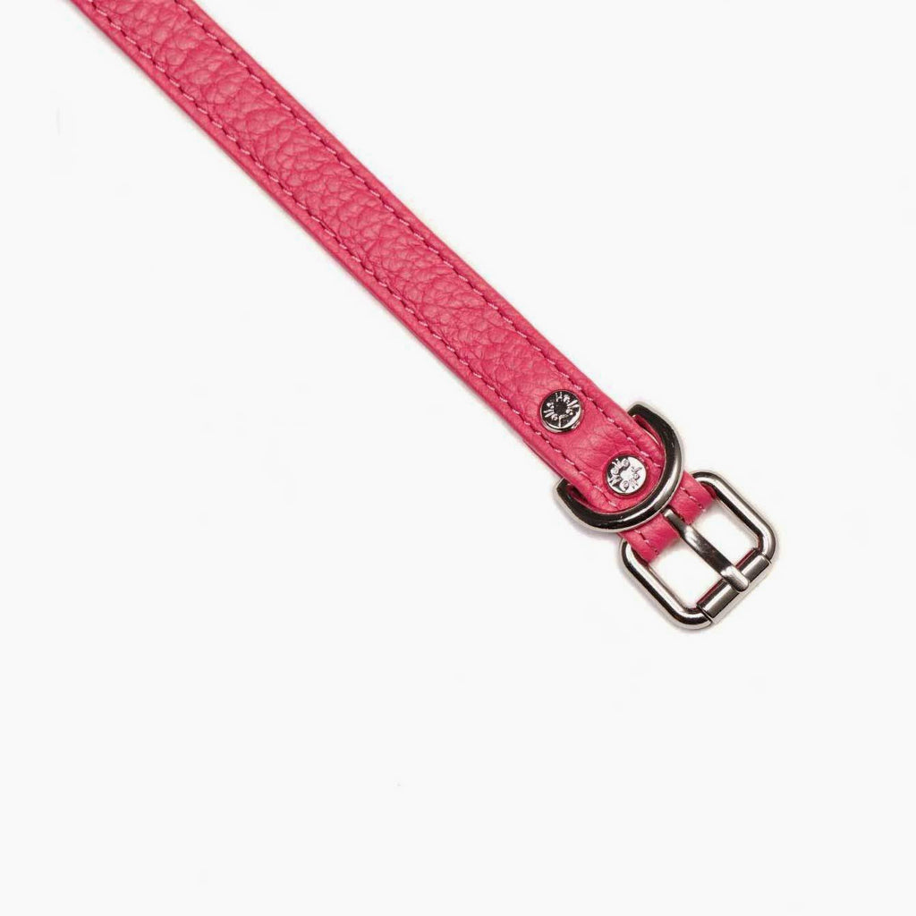 Pop Series Dog Collar - Pink - NEW PETS ON THE BLOCK.COM