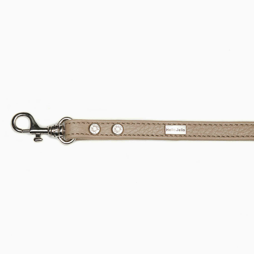 Pop Series Dog Leash - Gray - NEW PETS ON THE BLOCK.COM