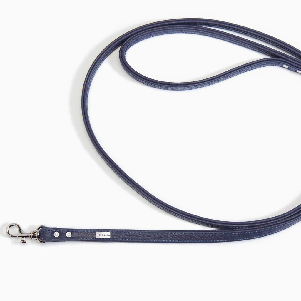 Pop Series Dog Leash - Navy - NEW PETS ON THE BLOCK.COM