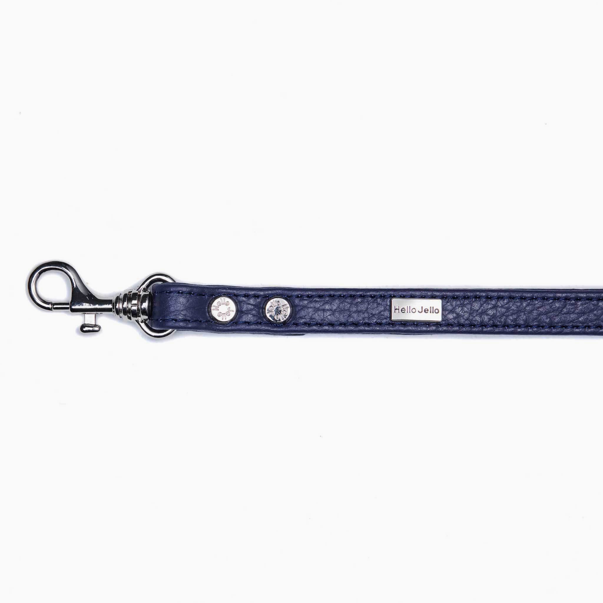 Pop Series Dog Leash - Navy - NEW PETS ON THE BLOCK.COM