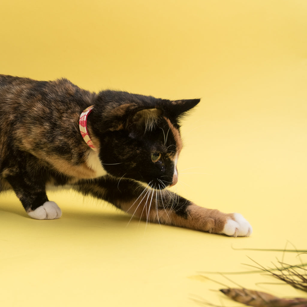 Geo Cat Collar - Pink - NEW PETS ON THE BLOCK.COM