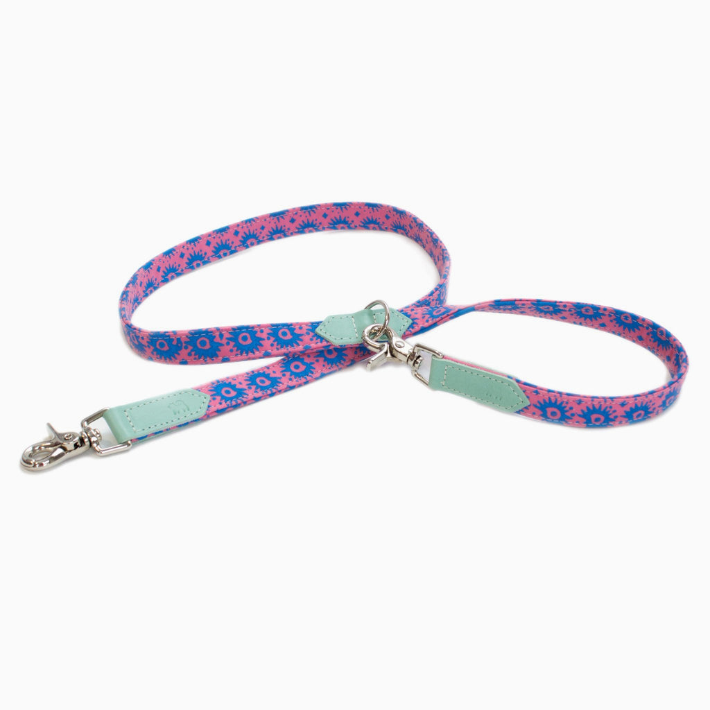 Nebula Multi-Purpose Cafe Dog Leash - Mint - NEW PETS ON THE BLOCK.COM