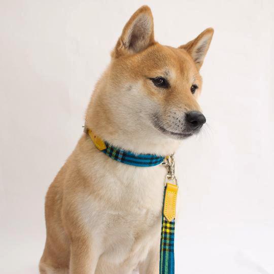 Shuka Dog Collar - Blue - NEW PETS ON THE BLOCK.COM