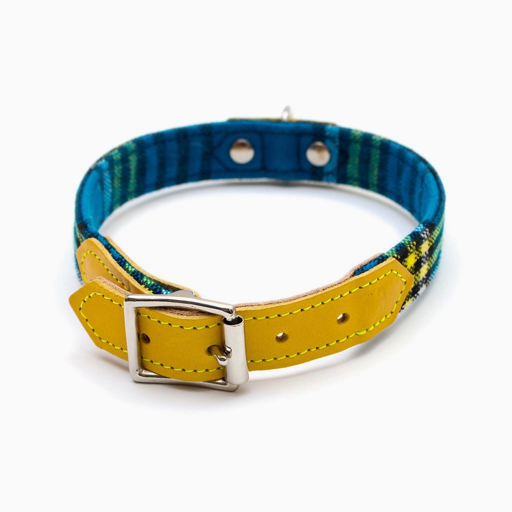 Shuka Dog Collar - Blue - NEW PETS ON THE BLOCK.COM