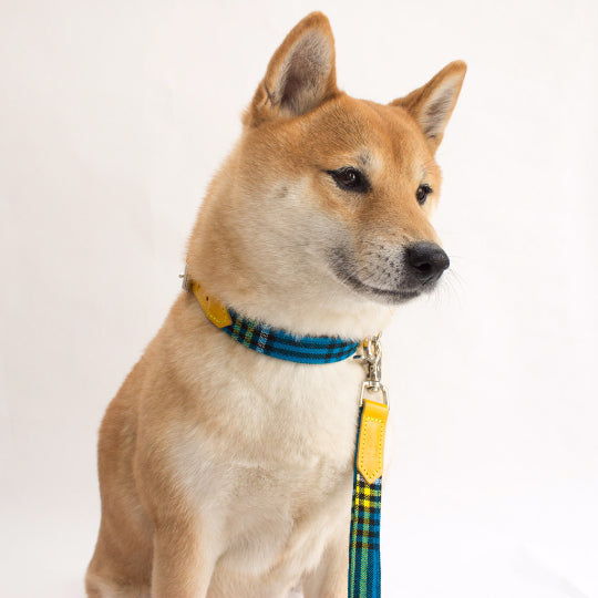 Shuka Multi-Purpose Cafe Dog Leash - Blue - NEW PETS ON THE BLOCK.COM