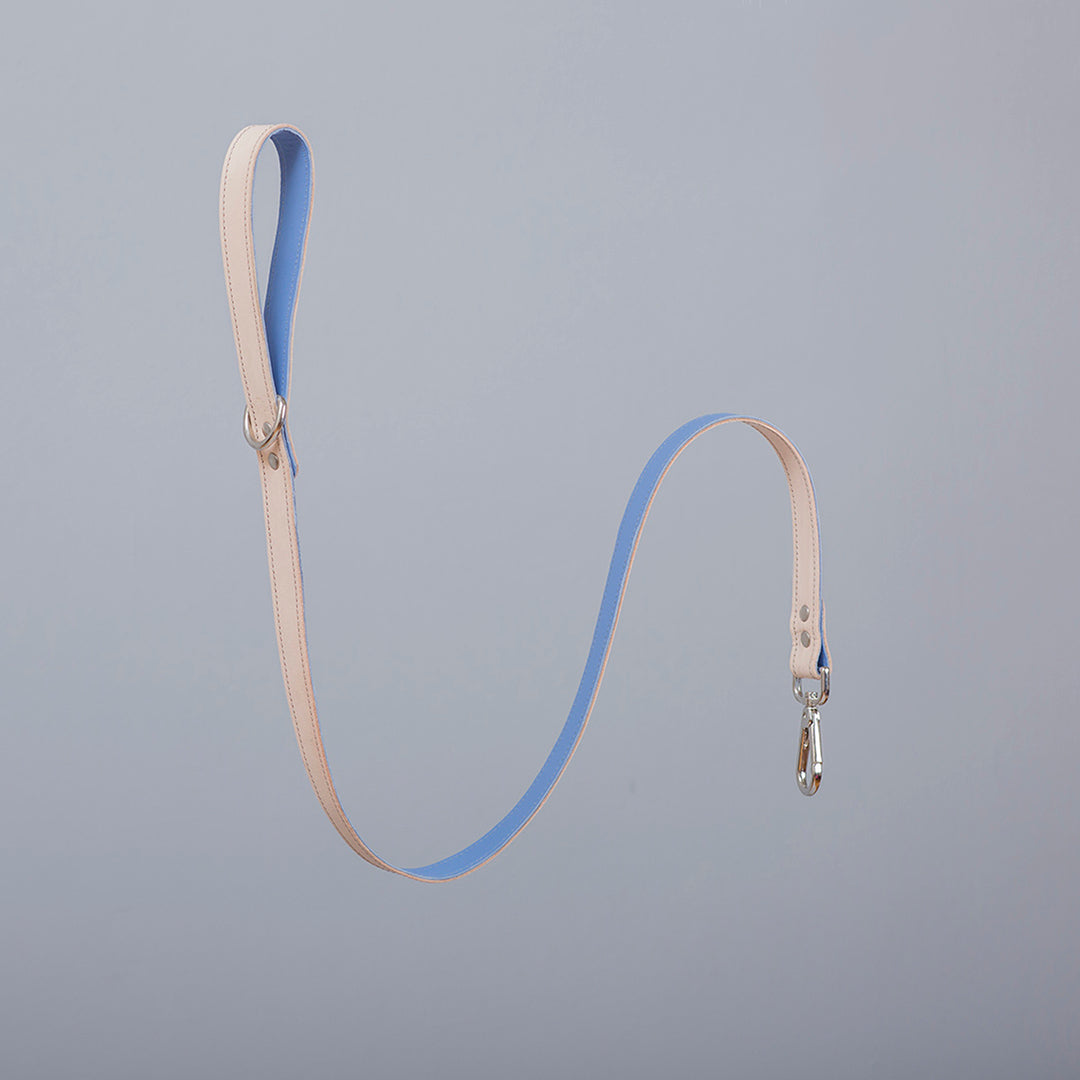 Minimalist Fixed Dog Leash - Cornflower Blue - NEW PETS ON THE BLOCK.COM