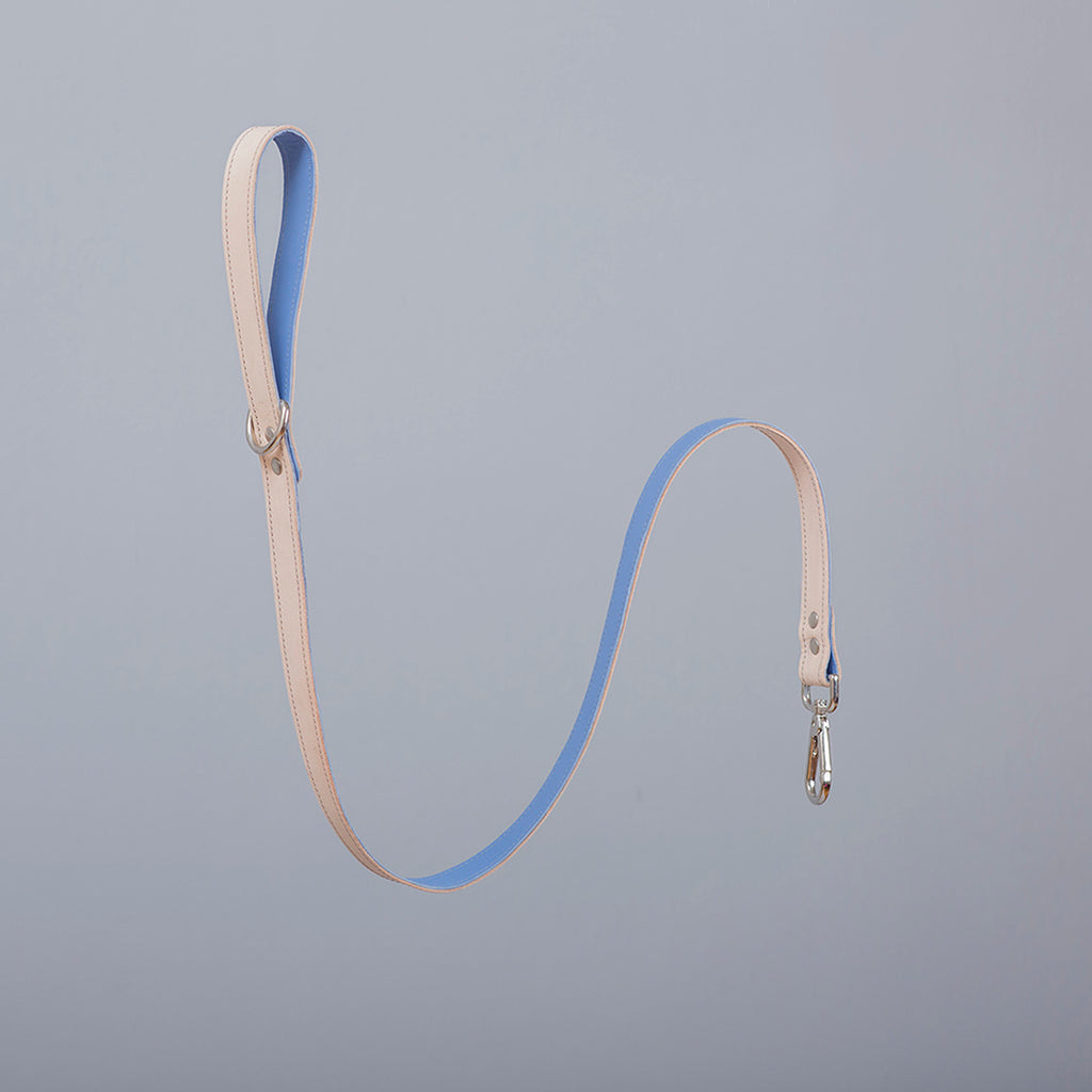 Minimalist Fixed Dog Leash - Cornflower Blue - NEW PETS ON THE BLOCK.COM