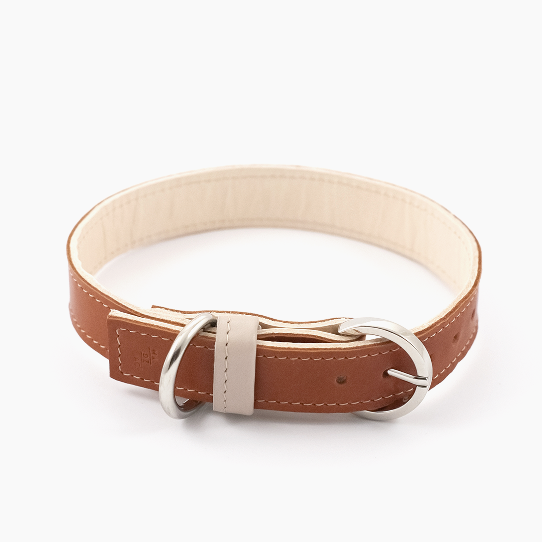 Minimalist Dog Collar - Caramel - NEW PETS ON THE BLOCK.COM