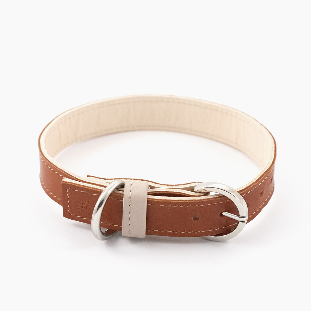 Minimalist Dog Collar - Caramel - NEW PETS ON THE BLOCK.COM