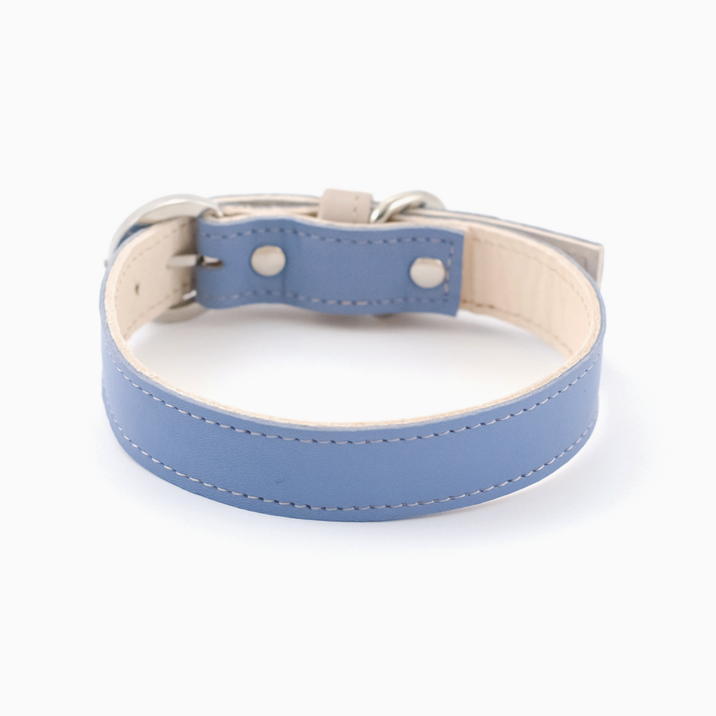 Minimalist Dog Collar - Cornflower Blue - NEW PETS ON THE BLOCK.COM