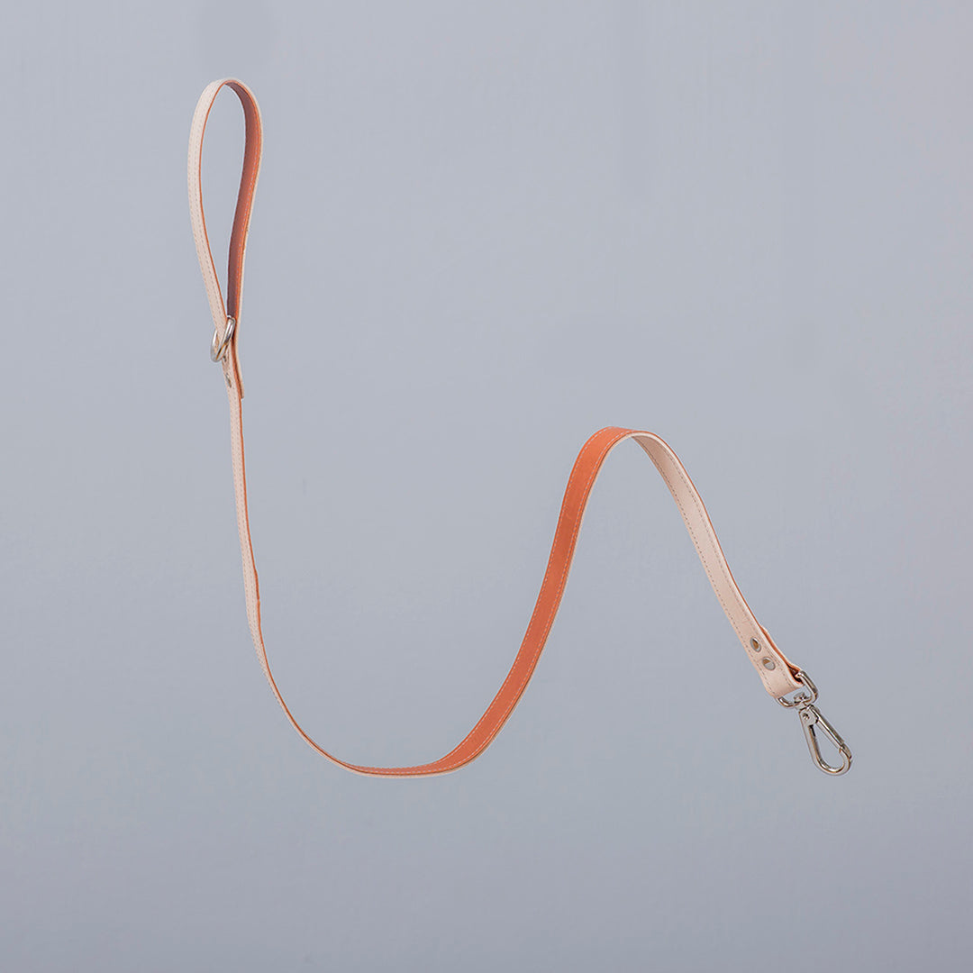 Minimalist Fixed Dog Leash - Caramel - NEW PETS ON THE BLOCK.COM