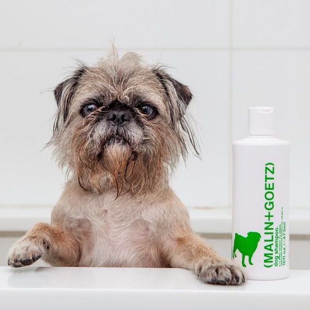 Nourishing Dog Shampoo - NEW PETS ON THE BLOCK.COM