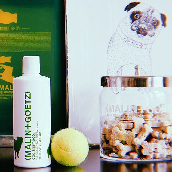 Nourishing Dog Shampoo - NEW PETS ON THE BLOCK.COM