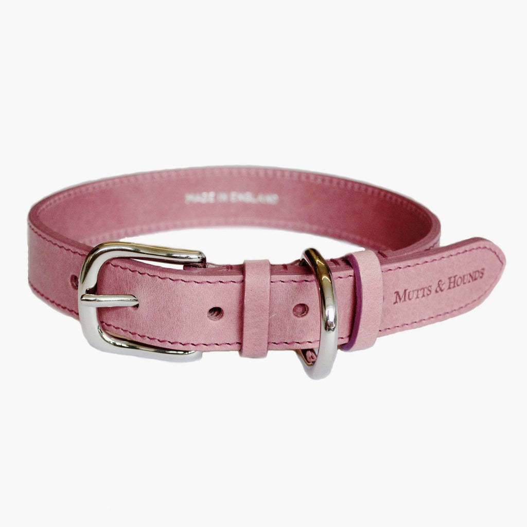 mutts and hounds strong durable dog collar leather design quality matching set leash