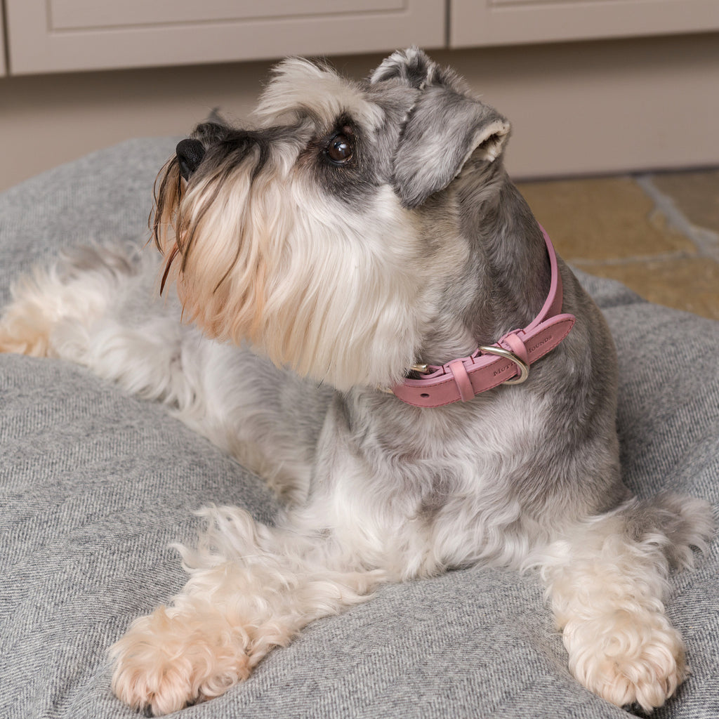 Leather Dog Leash - Heather - NEW PETS ON THE BLOCK.COM