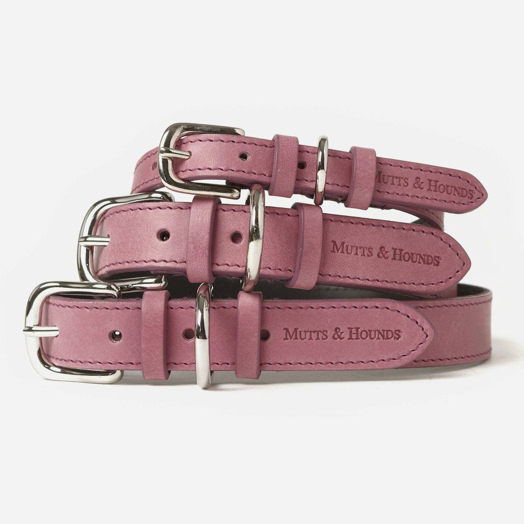 mutts and hounds strong durable dog collar leather design quality matching set leash