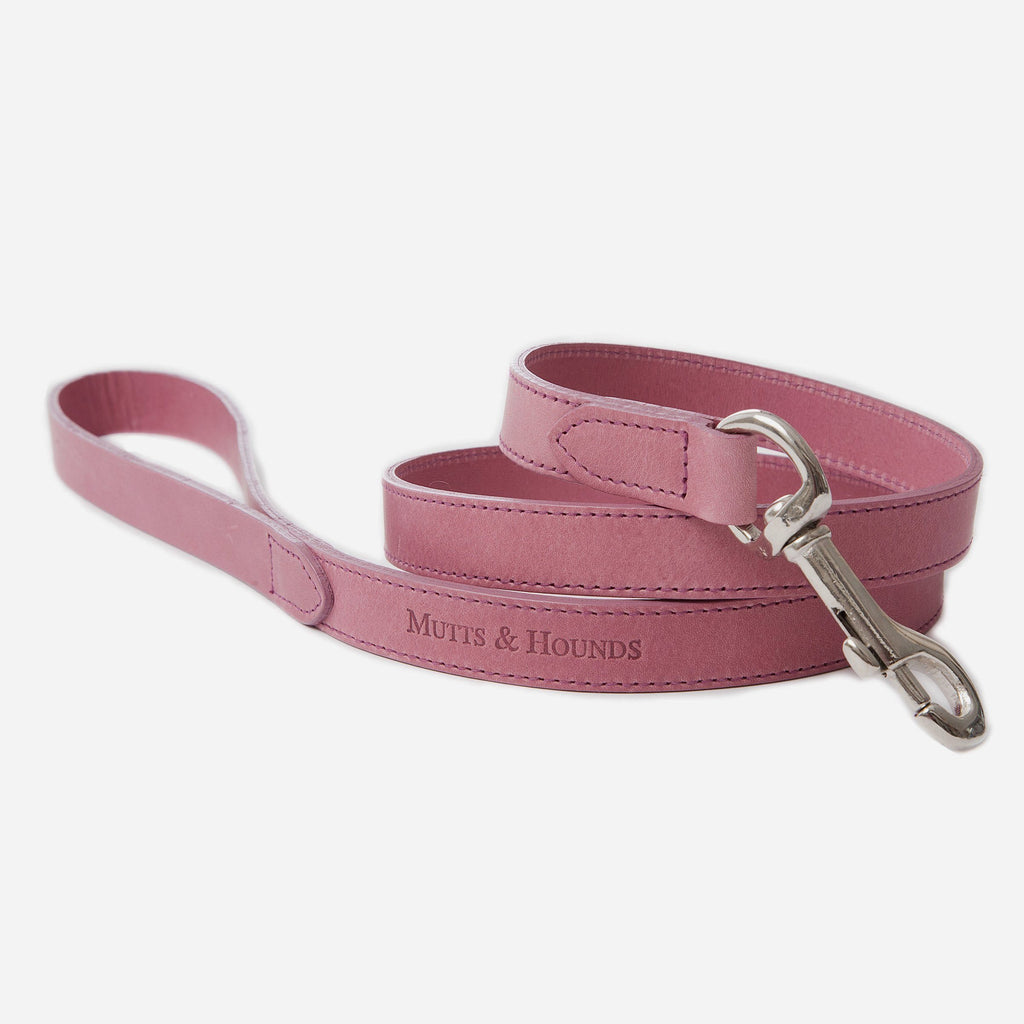 mutts and hounds strong durable dog collar leather design quality matching set leash