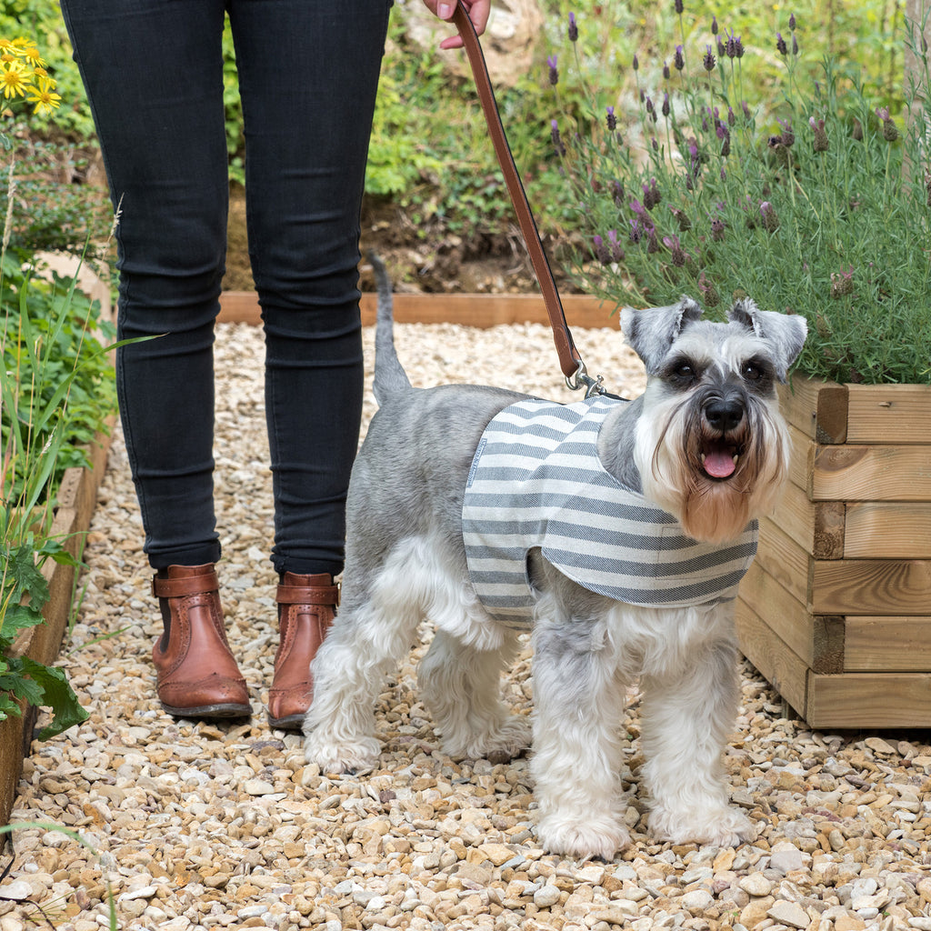 Tweed & Leather Dog Leash - Balmoral - NEW PETS ON THE BLOCK.COM