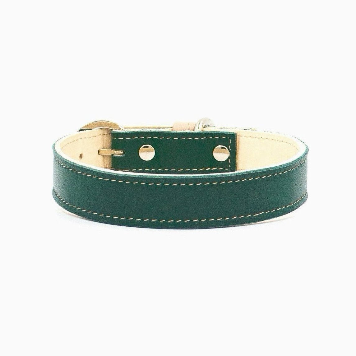 Minimalist Dog Collar - Forest Green - NEW PETS ON THE BLOCK.COM