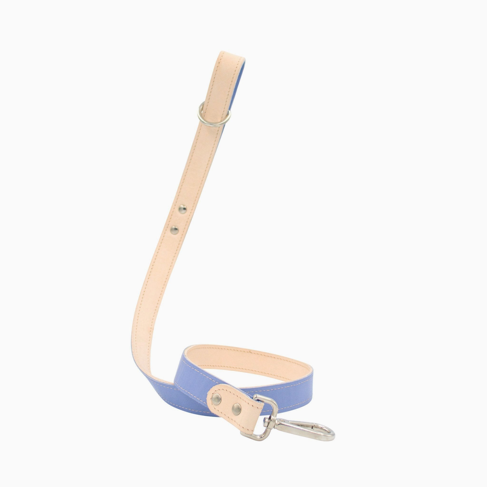 Minimalist Fixed Dog Leash - Cornflower Blue - NEW PETS ON THE BLOCK.COM