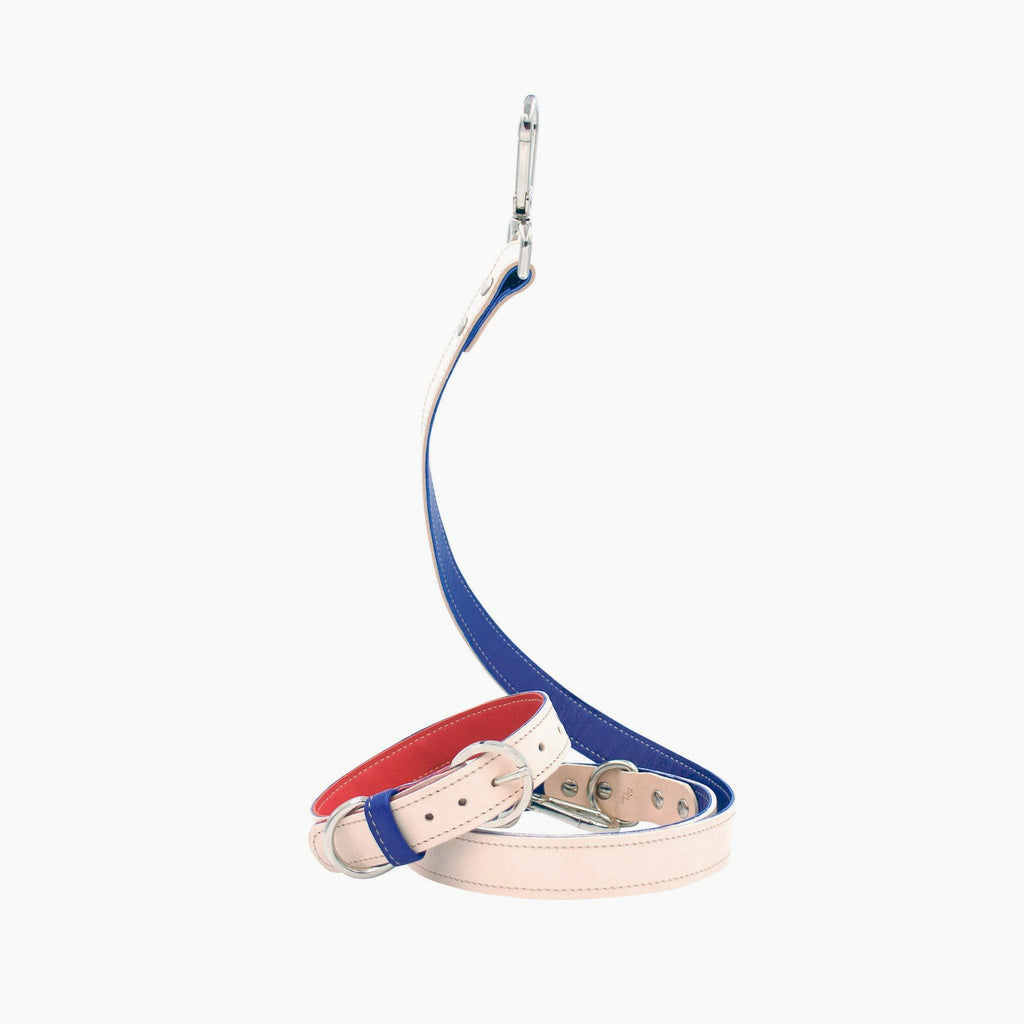 Bauhaus Fix Dog Collar - Blue - NEW PETS ON THE BLOCK.COM