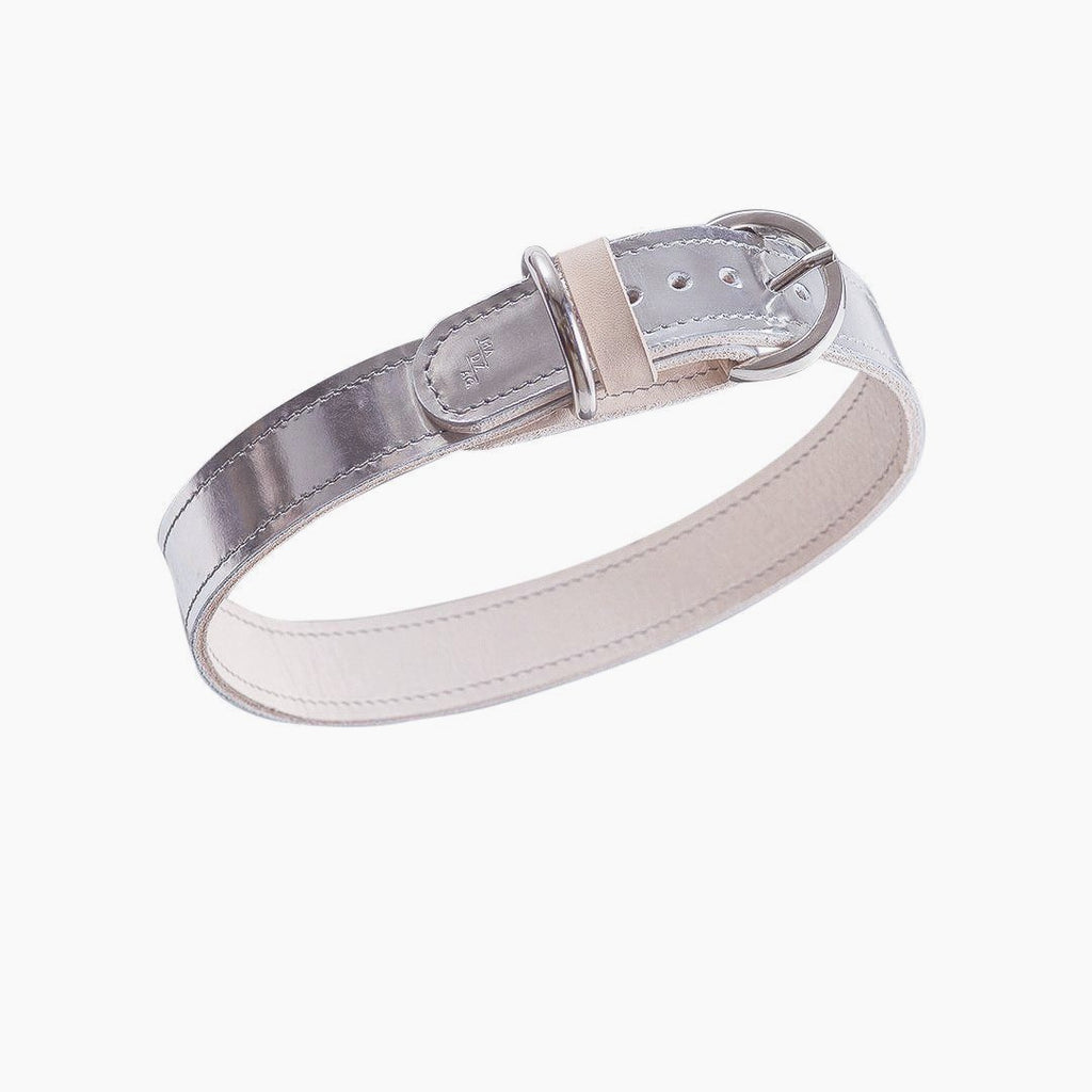 Moonshine Dog Collar - Metallic Silver - NEW PETS ON THE BLOCK.COM
