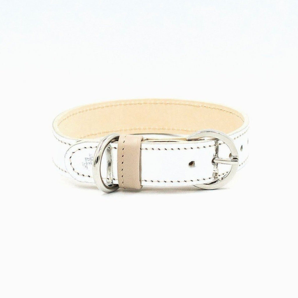Moonshine Dog Collar - Metallic Silver - NEW PETS ON THE BLOCK.COM