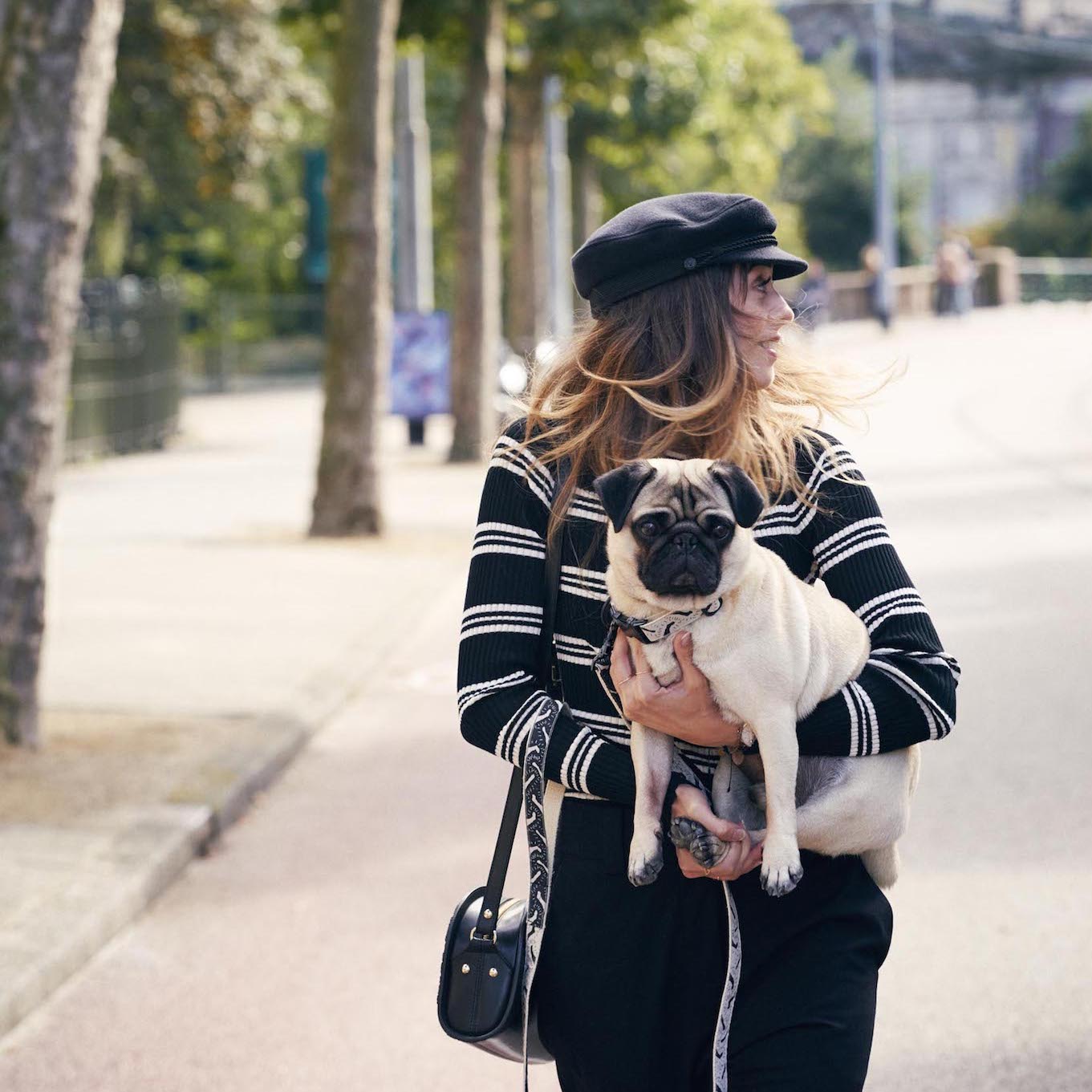 Life of the Party Fixed Leash - Black & Cream - NEW PETS ON THE BLOCK.COM