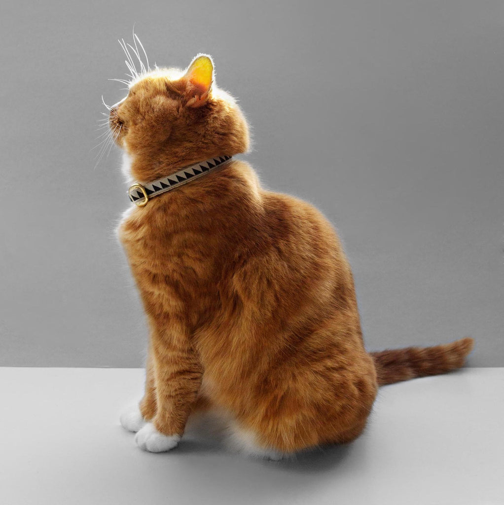 Nice Grill Cat Collar - Black & Cream - NEW PETS ON THE BLOCK.COM