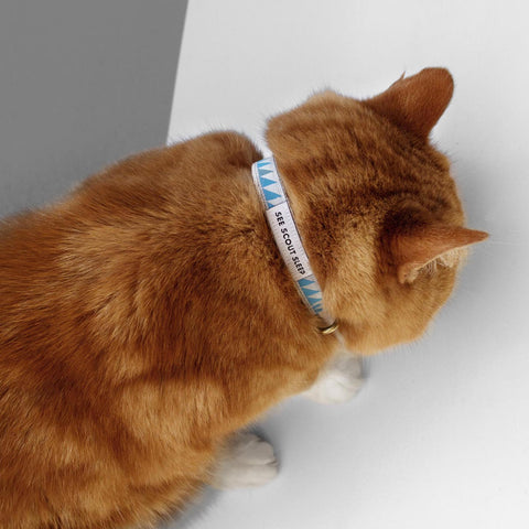 Nice Grill Cat Collar - Sky & Ice Blue
