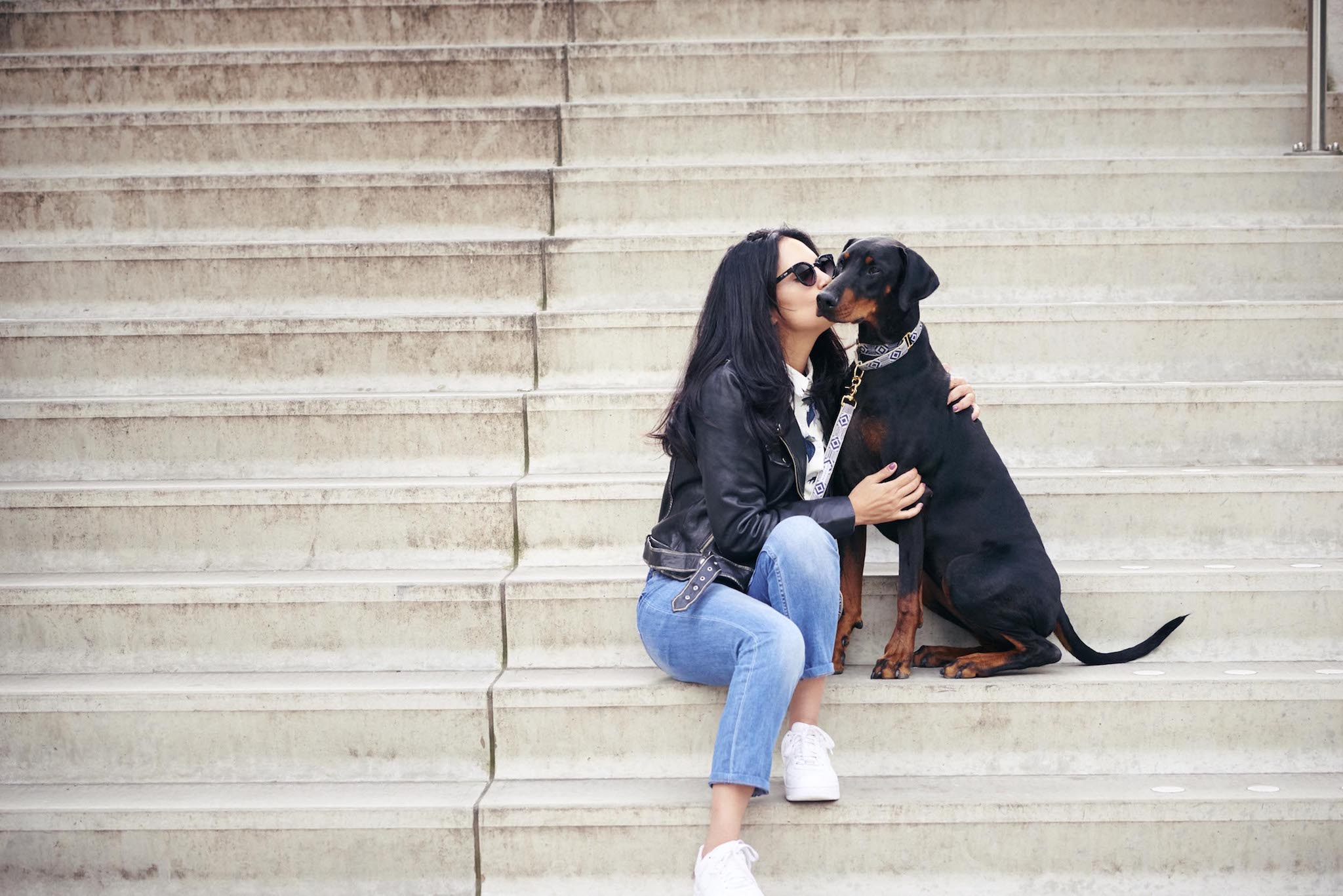 Out Of My Box City Leash - Navy & Cream - NEW PETS ON THE BLOCK.COM