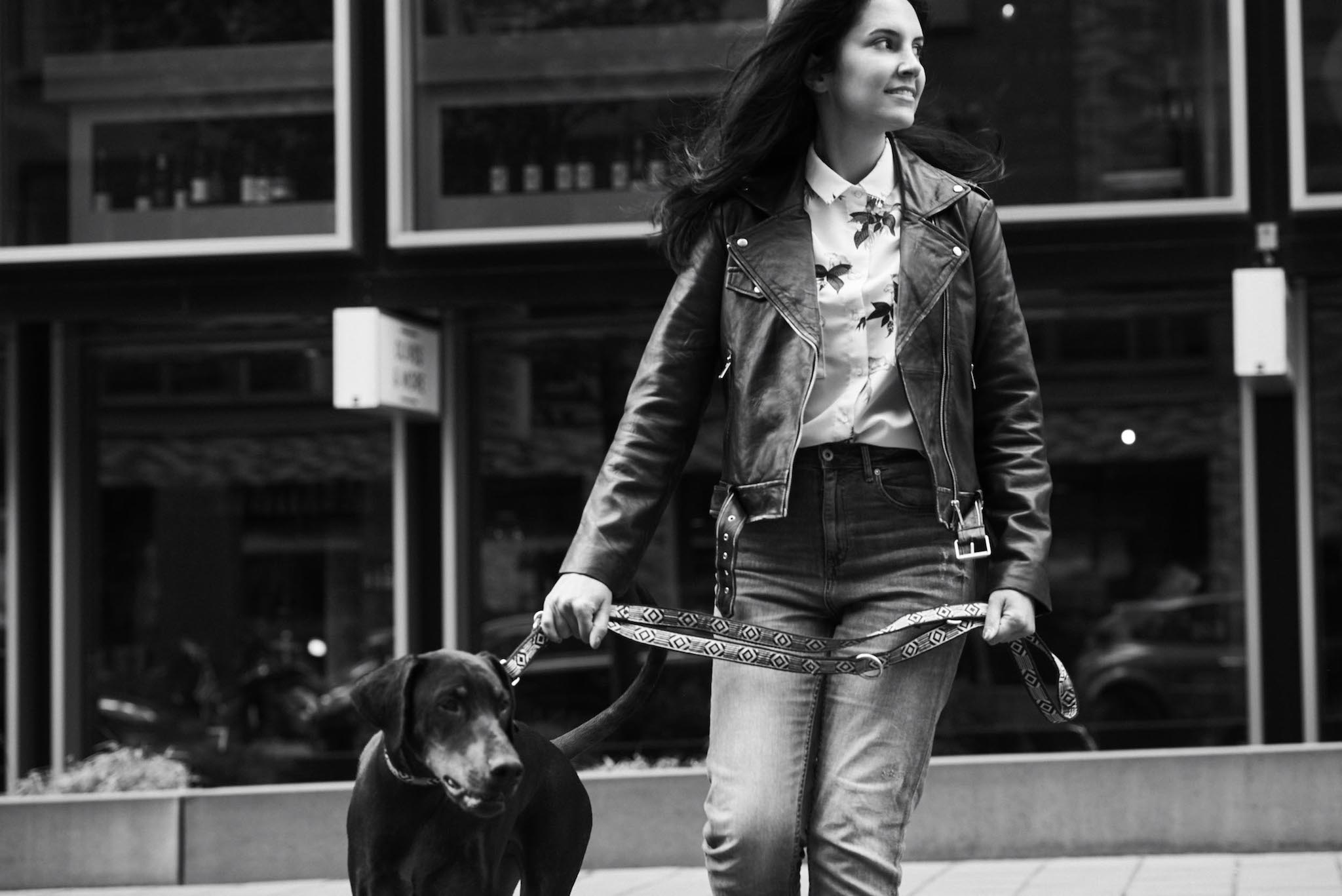 Out Of My Box Dog Collar - Black & Cream - NEW PETS ON THE BLOCK.COM